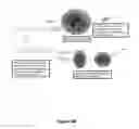 Fig. 06 - Uniform, Functionalized, Cross-Linked Nanostructures for Monitoring pH