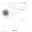 Fig. 22 - Uniform, Functionalized, Cross-Linked Nanostructures for Monitoring pH