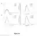 Fig. 76 - Uniform, Functionalized, Cross-Linked Nanostructures for Monitoring pH