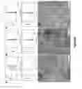 Fig. 79 - Uniform, Functionalized, Cross-Linked Nanostructures for Monitoring pH