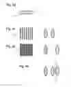 Fig. 04 - Substrate, a method of measuring a property, an inspection apparatus and a lithographic apparatus