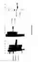 Fig. 03 - DEVICE FOR PERFORMING ELECTROPHORESIS PRODUCING MIRROR COPIES OF SEPARATED PROTEINS BY USING THE SAME GEL AND THE SAME SAMPLES