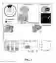Fig. 02 - COMPOSITIONS AND METHODS FOR PROGNOSIS AND TREATMENT OF NEOPLASM