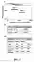 Fig. 04 - COMPOSITIONS AND METHODS FOR PROGNOSIS AND TREATMENT OF NEOPLASM