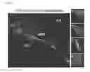 Fig. 06 - Antibody composition, kit for preparing antibody composition, and immunostaining method