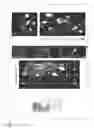 Fig. 08 - Antibody composition, kit for preparing antibody composition, and immunostaining method