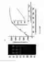 Fig. 06 - Methods and compositions for hybrid microfluidic devices integrated with nano-biosensors
