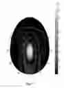Fig. 14 - GLOBAL NAVIGATION SYSTEMS ANTENNA