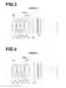 Fig. 04 - Rear attachment lens