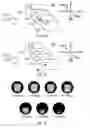 Fig. 07 - Optical device provided to an eye glass or a helmet having a frontal transmittance and a peripheral transmittance