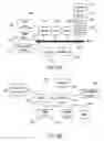 Fig. 09 - Media asset proxies