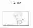 Fig. 14 - DISPLAY APPARATUS AND METHOD OF PROVIDING INFORMATION THEREOF