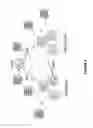 Fig. 06 - Process and framework for facilitating data sharing using a distributed hypergraph