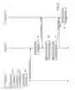 Fig. 06 - Synchronized web browsing histories: processing deletions and limiting communications to server