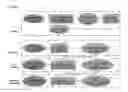 Fig. 01 - Wetland modeling and prediction