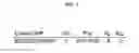 Fig. 03 - Methods of assessing a risk of developing necrotizing meningoencephalitis