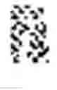 Fig. 02 - Computations using a polychronous wave propagation system