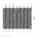 Fig. 03 - Multi-lined sensor
