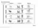Fig. 37 - SYSTEM, METHODS AND PROCESSES TO IDENTIFY CROSS-BORDER TRANSACTIONS AND REWARD RELEVANT CARDHOLDERS WITH OFFERS