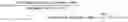 Fig. 09 - ADVERTISEMENT SELECTING APPARATUS, ADVERTISEMENT SELECTING METHOD, AND STORAGE MEDIUM