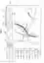 Fig. 10 - Image processing device and method, and program for correcting a blurred moving image