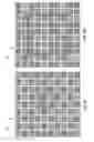 Fig. 06 - Blind defringing for color images