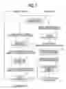 Fig. 08 - Image processing apparatus, and non-transitory computer readable medium for generating a feature-reflected image and for changing a degree of reflection of a feature in the feature-reflected image