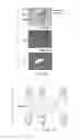 Fig. 04 - Medical image processing apparatus