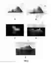 Fig. 03 - Example based editing of virtual terrain maps