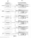 Fig. 43 - Devices, methods, and systems of functional optical coherence tomography