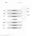 Fig. 01 - System and methods for improving the readability of content