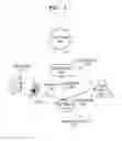 Fig. 02 - APPARATUS AND METHOD OF TRAVERSING ACCELERATION STRUCTURE IN RAY TRACING