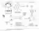 Fig. 01 - Electromagnetic persona generation based on radio frequency fingerprints