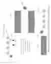 Fig. 14 - Electromagnetic persona generation based on radio frequency fingerprints
