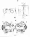 Fig. 04 - Noise Masking in Headsets