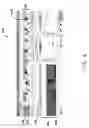 Fig. 07 - Method and apparatus for speech behavior visualization and gamification