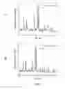 Fig. 02 - Vitrified chemically bonded phosphate ceramics for immobilization of radioisotopes