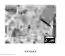 Fig. 07 - Graphene/graphite polymer composite foam derived from emulsions stabilized by graphene/graphite kinetic trapping