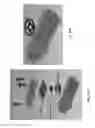 Fig. 15 - Method for optimizing fluid flow across a sample within an electron microscope sample holder