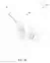 Fig. 15 - Method and apparatus for slice and view sample imaging