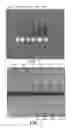 Fig. 02 - Ion implantation to alter etch rate