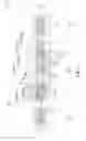 Fig. 02 - Ring structures in device die