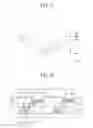 Fig. 14 - Light shielding apparatus, method of fabricating the same, and transparent display device including the same