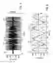 Fig. 06 - System and method for induction motor speed estimation using a soft starter system