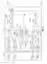 Fig. 04 - Distortion cancellation for dual stage carrier-aggregation (CA) low noise amplifier (LNA) non-linear second order products