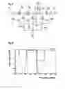 Fig. 04 - Broad-band filter in branching technology