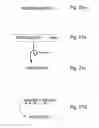 Fig. 43 - SYSTEMS AND METHODS FOR FACILITATING WIRELESS NETWORK COMMUNICATION, SATELLITE-BASED WIRELESS NETWORK SYSTEMS, AND AIRCRAFT-BASED WIRELESS NETWORK SYSTEMS, AND RELATED METHODS