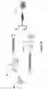 Fig. 25 - Mobility extensions to industrial-strength wireless sensor networks