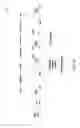 Fig. 10 - Protected CET transmission and reception