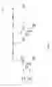 Fig. 11 - Protected CET transmission and reception